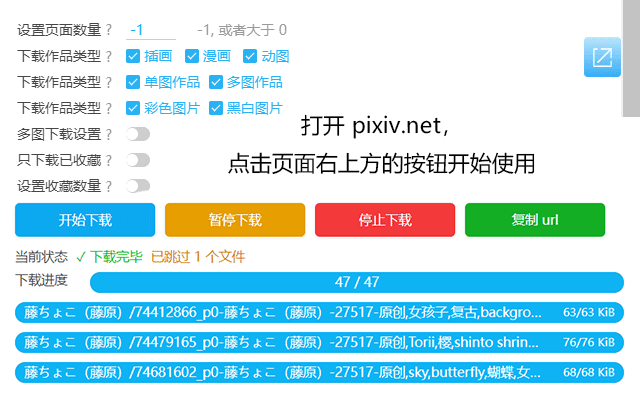 Powerful Pixiv Downloader截图2