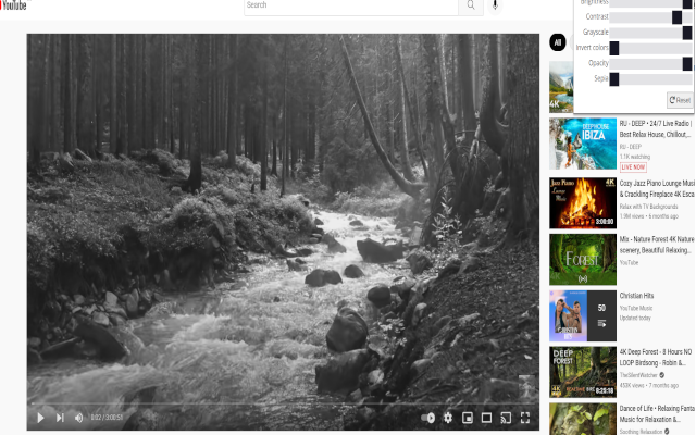 YouTube color adjust截图2