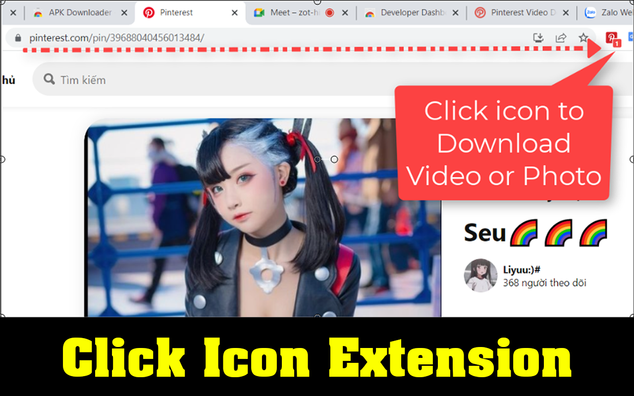 Pinterest Video Downloader截图1