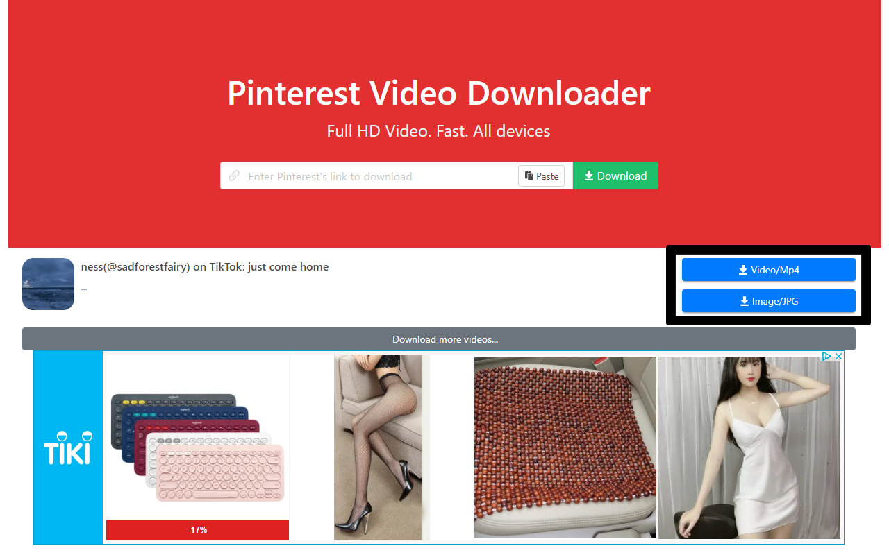 Pinterest Video Downloader截图2