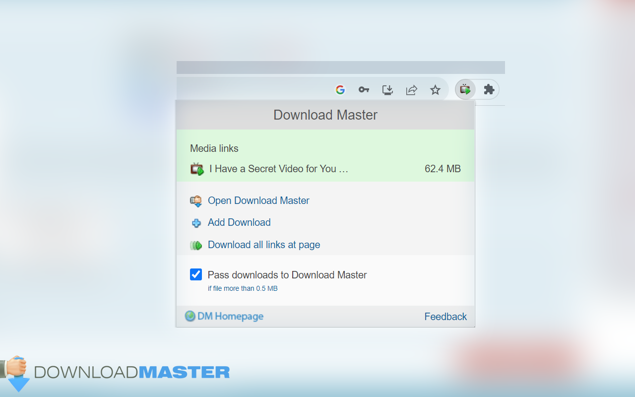 Download Master截图3
