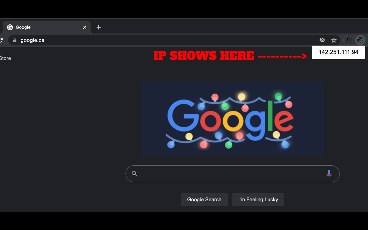 Website IP截图1