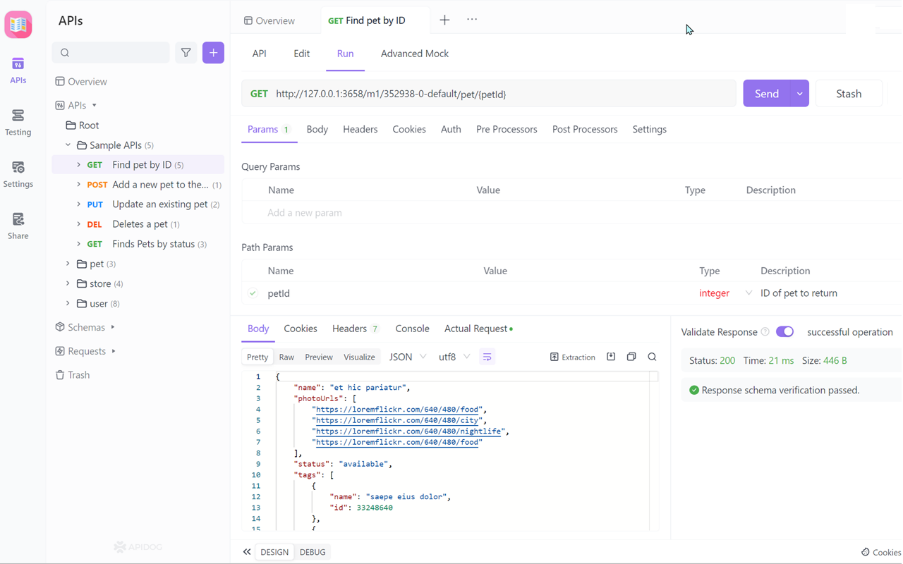 Apidog Browser Extension截图2