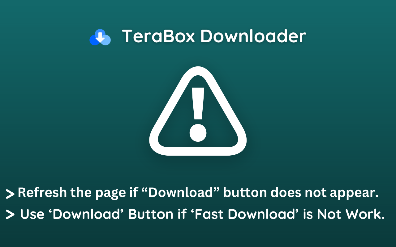 2025 ▷ TeraBox 链接视频下载器 [无应用程序]截图1
