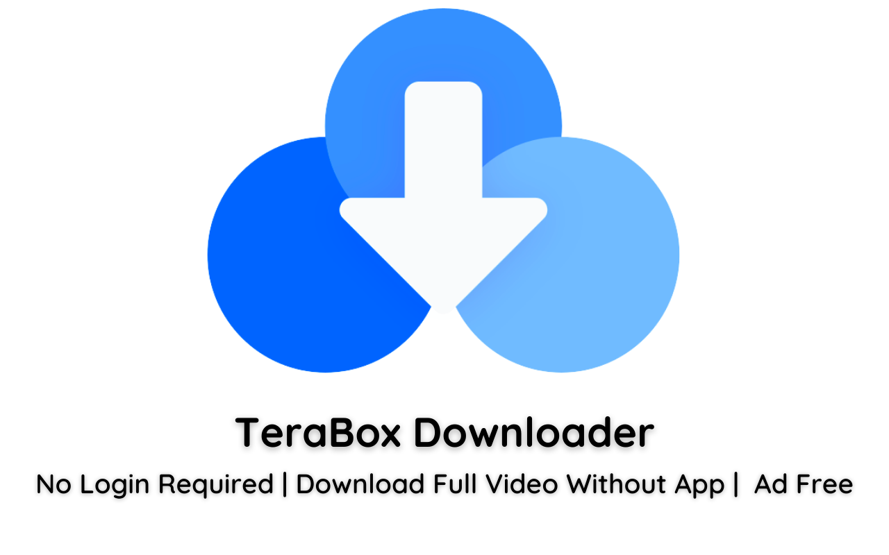 2025 ▷ TeraBox 链接视频下载器 [无应用程序]截图2