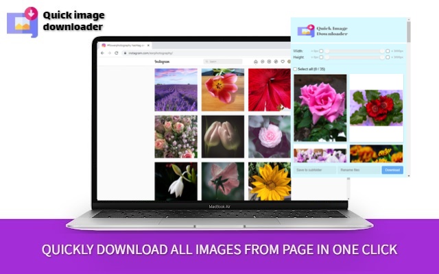 Quick Image Downloader截图1