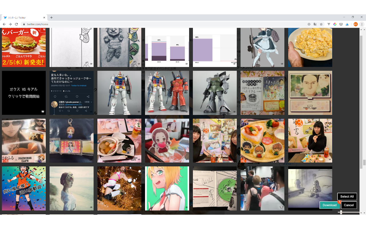 TwitterImageDownloader截图1