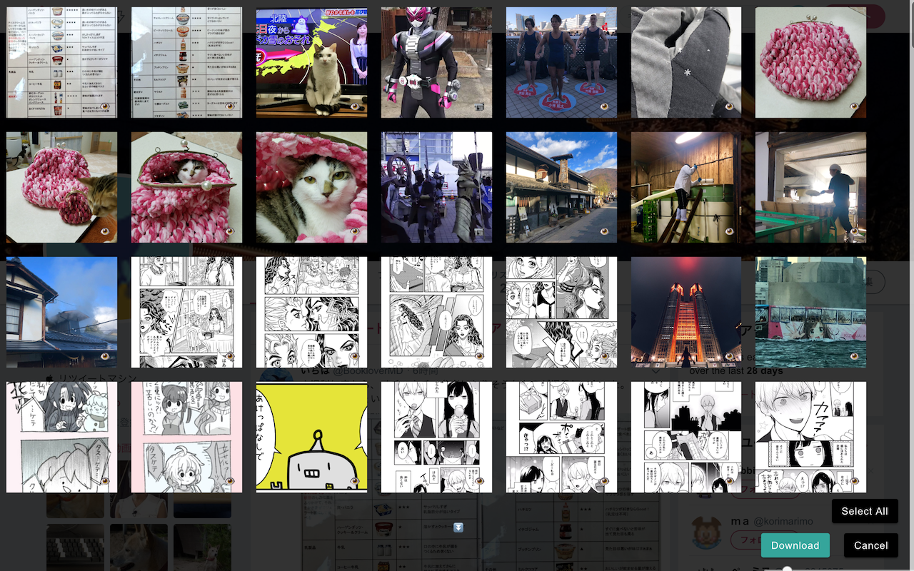 TwitterImageDownloader截图3