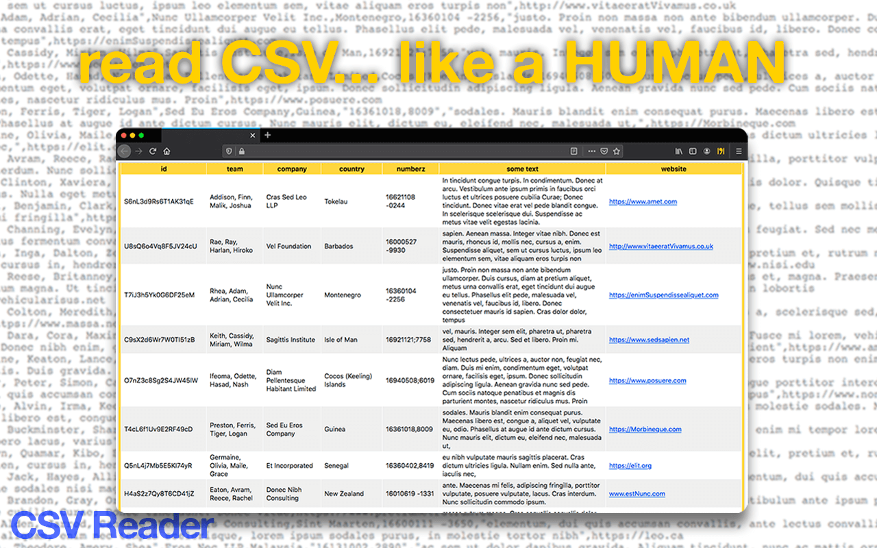 CSV Reader截图3