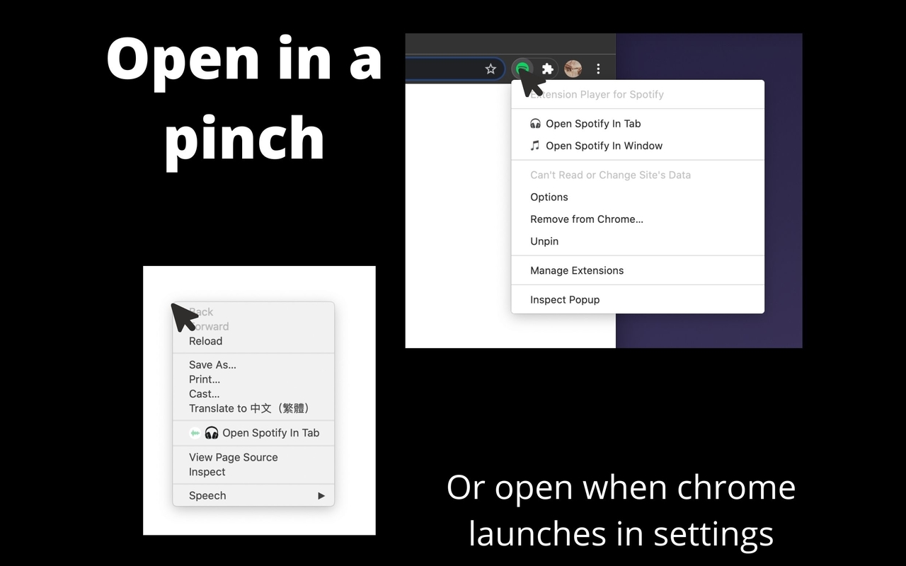 Extension Player for Spotify截图1