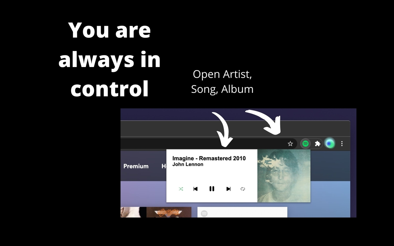Extension Player for Spotify截图3
