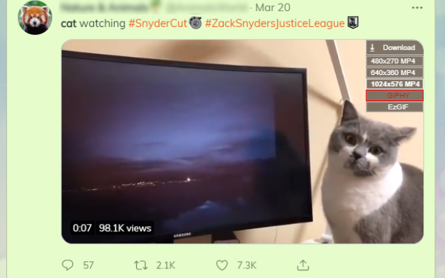 Twitter Gif & Video Downloader截图3