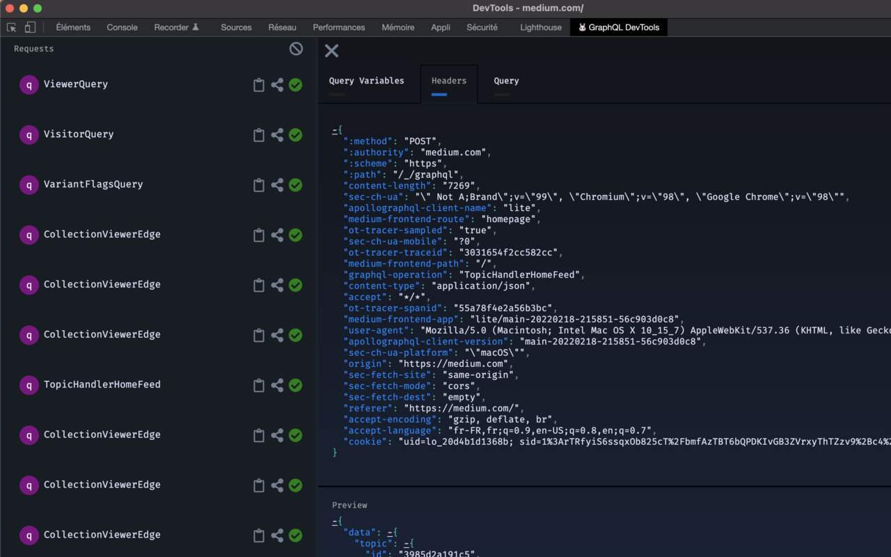GraphQL DevTools截图4