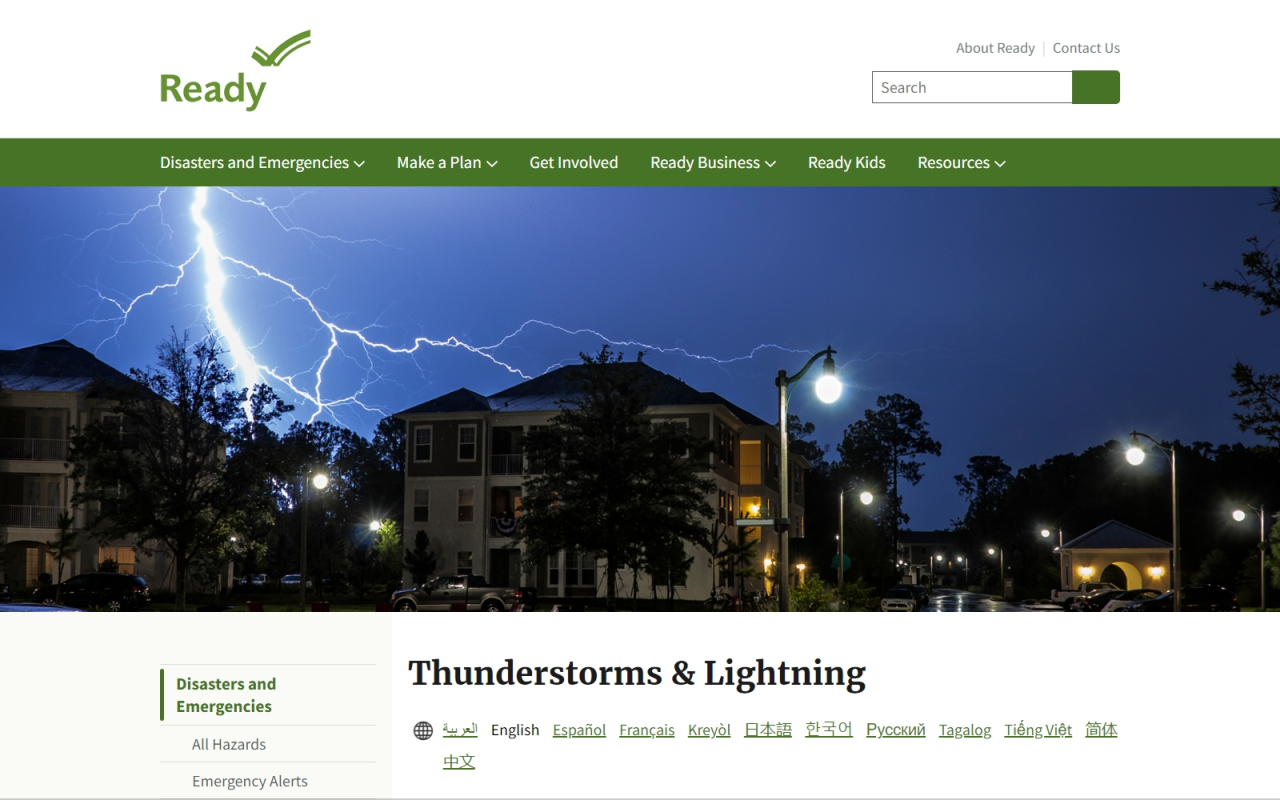 Kiwix JS Browser Extension截图5