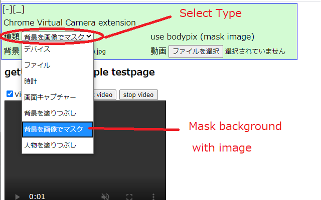 Chrome Virtual Camera截图2
