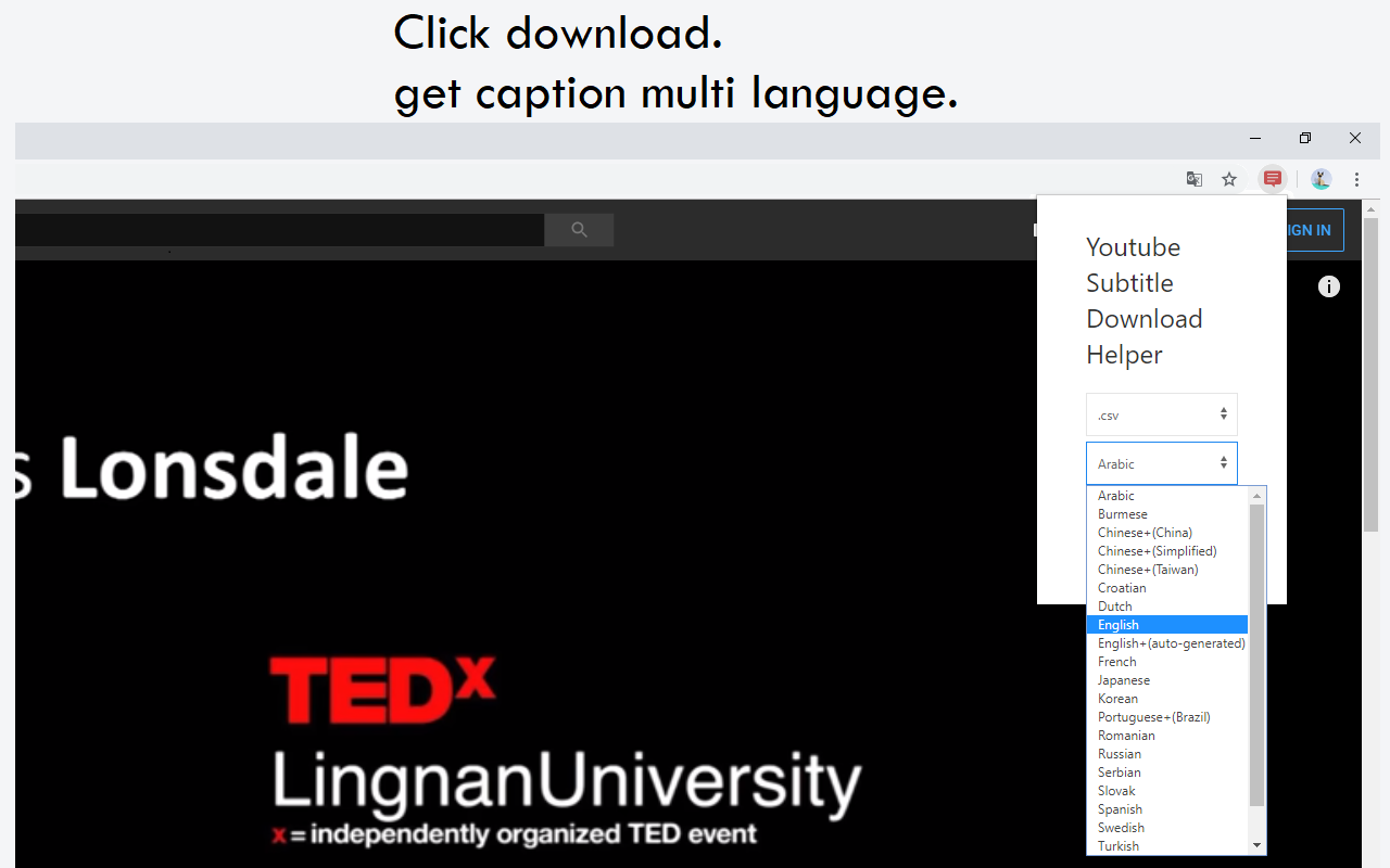 Youtube Subtitle Download Helper截图3