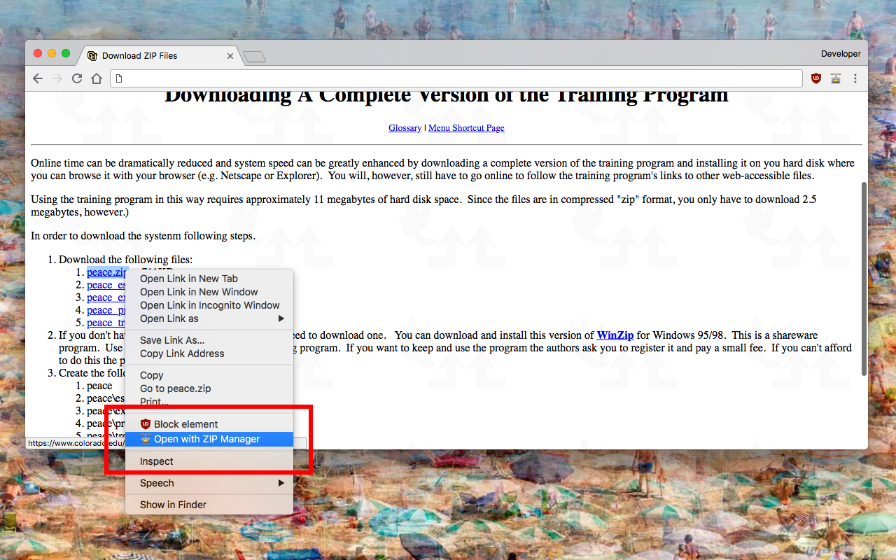 ZIP Manager (zip, rar, 7z)截图1