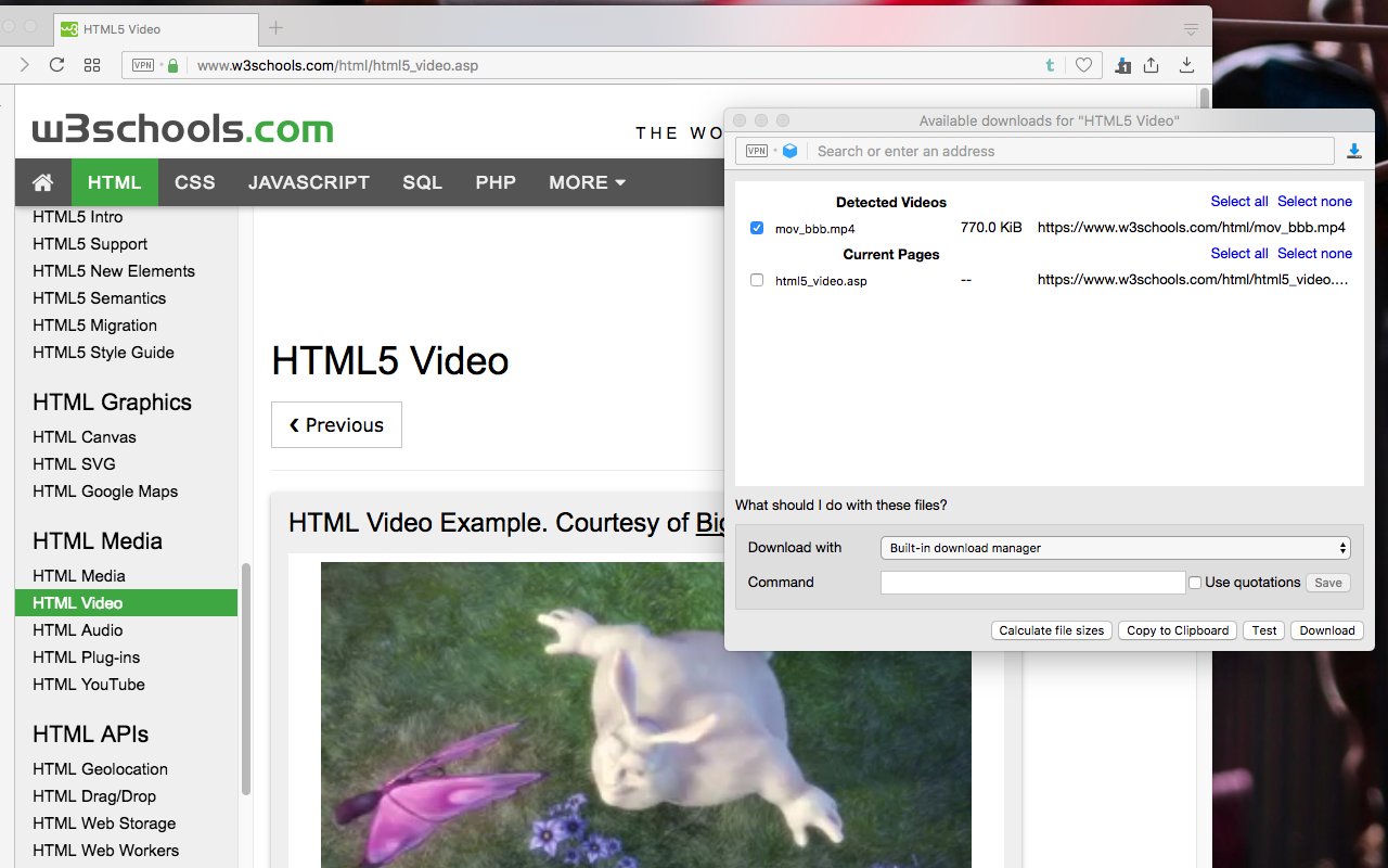 Easy Video Downloader截图1