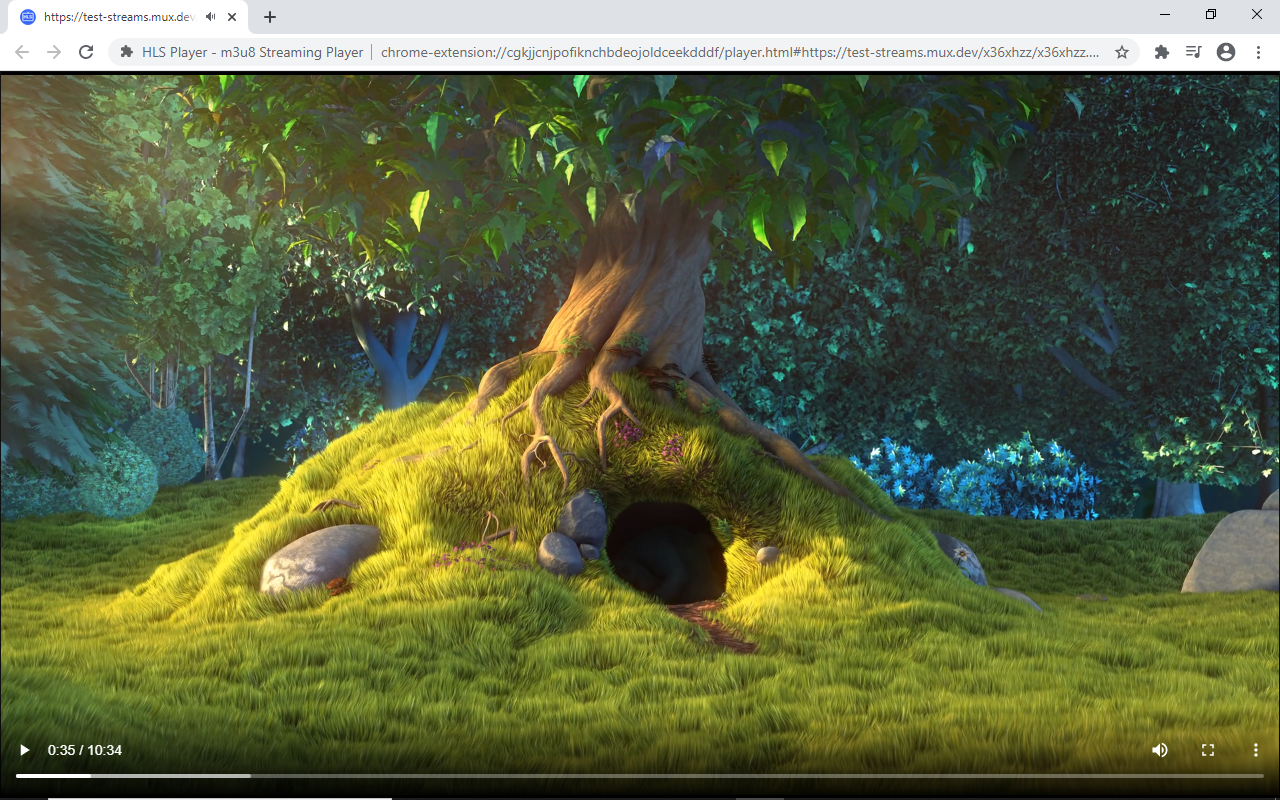 HLS Player - m3u8 Streaming Player截图1
