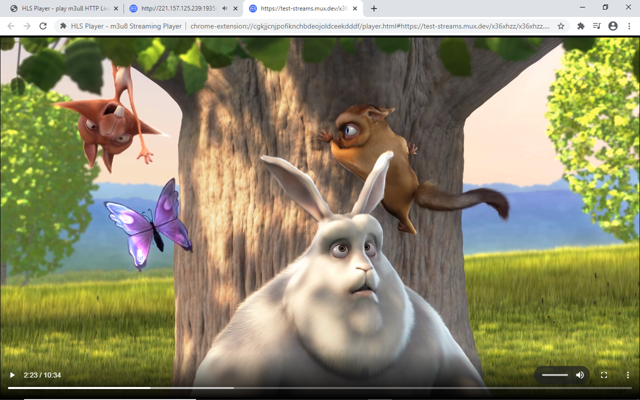 HLS Player - m3u8 Streaming Player截图3