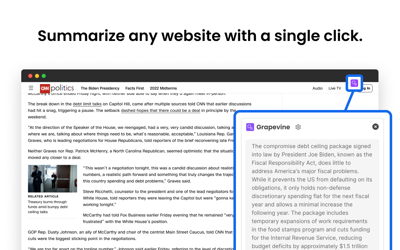 Grapevine: Web & YouTube Summary with ChatGPT截图3