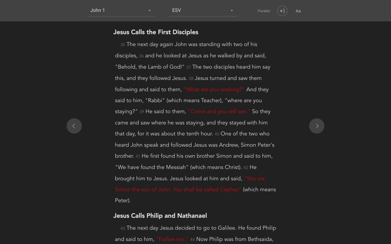Night Mode Bible截图4