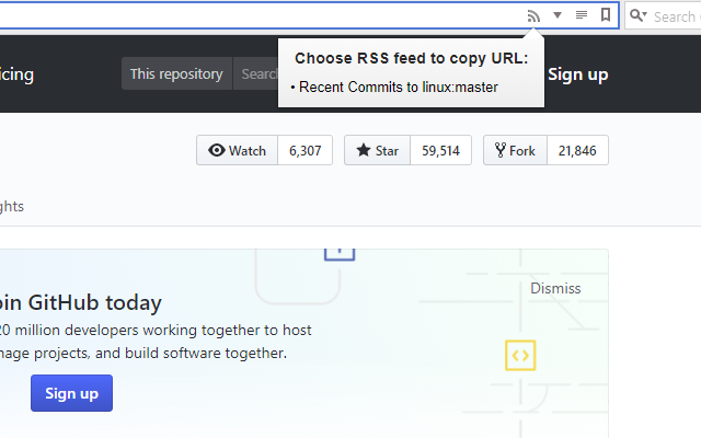 Erinome RSS Detector截图1
