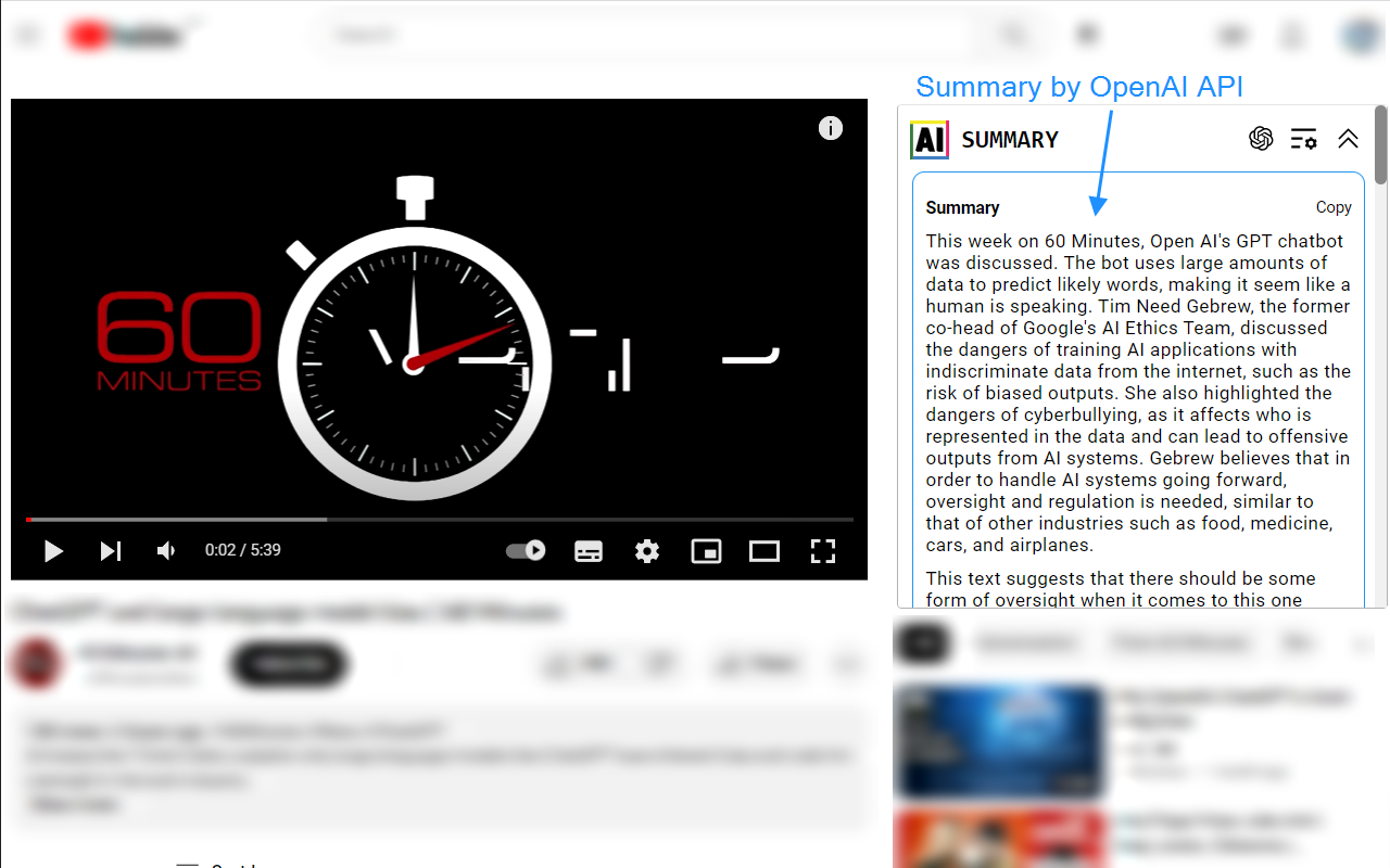Youtube Transcript AI Summary截图4