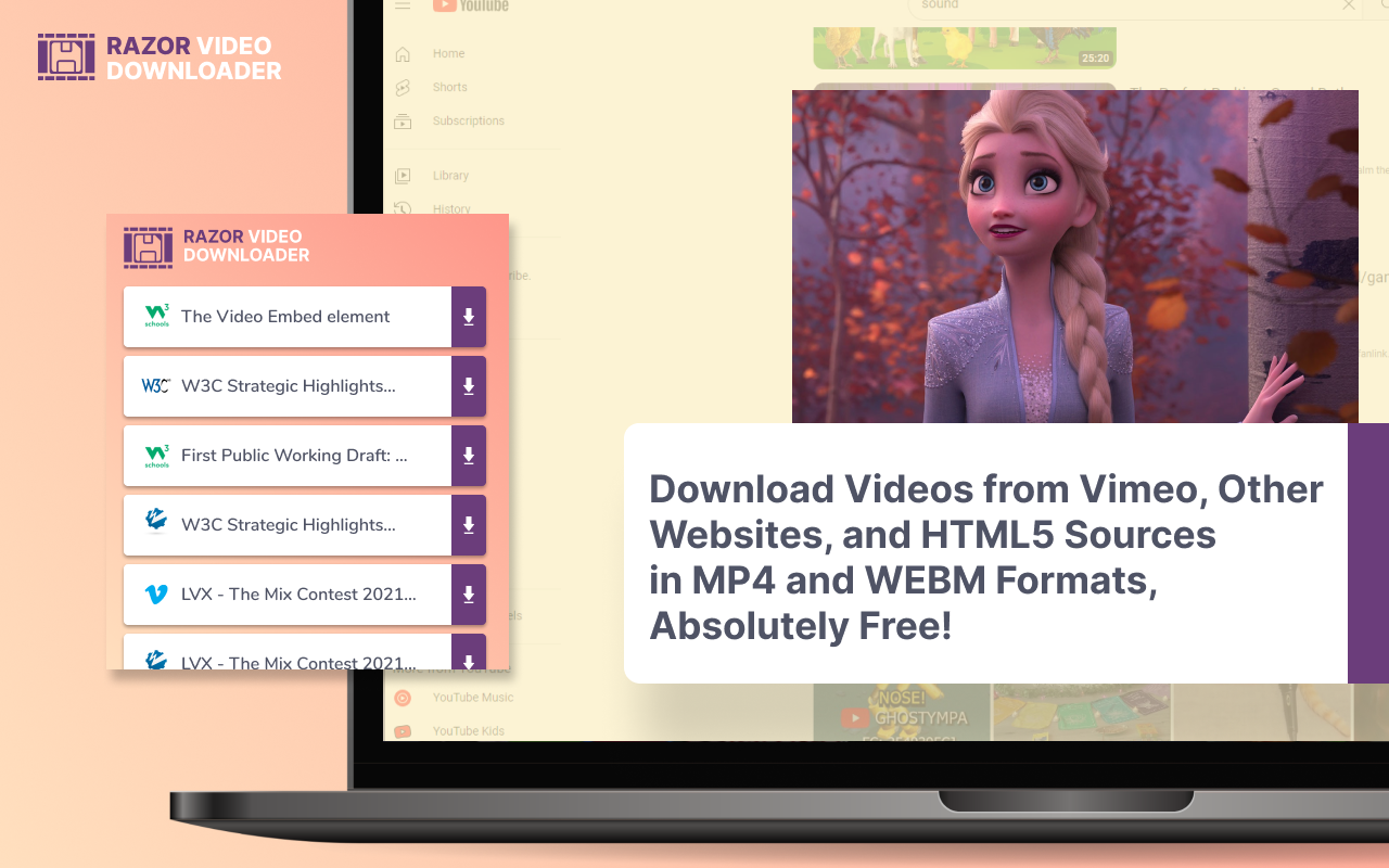 RazorWave Video Downloader截图1
