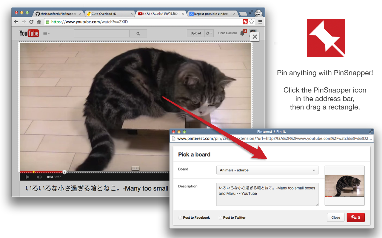 PinSnapper截图1