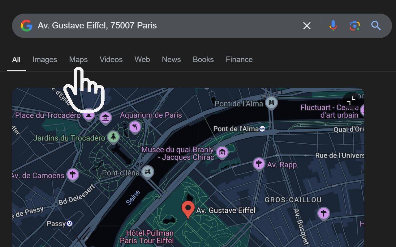 Google Search Maps Button截图2