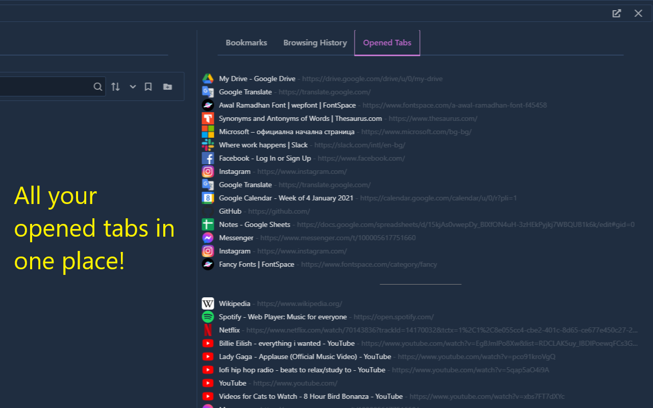 Pin: History, Bookmarks & Tabs Manager截图2