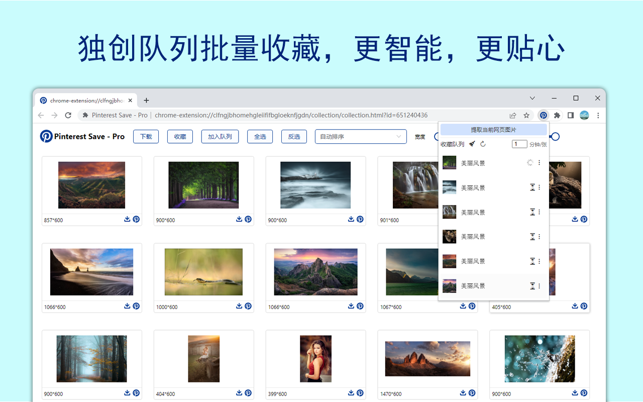 Pinterest Save - Pro截图2