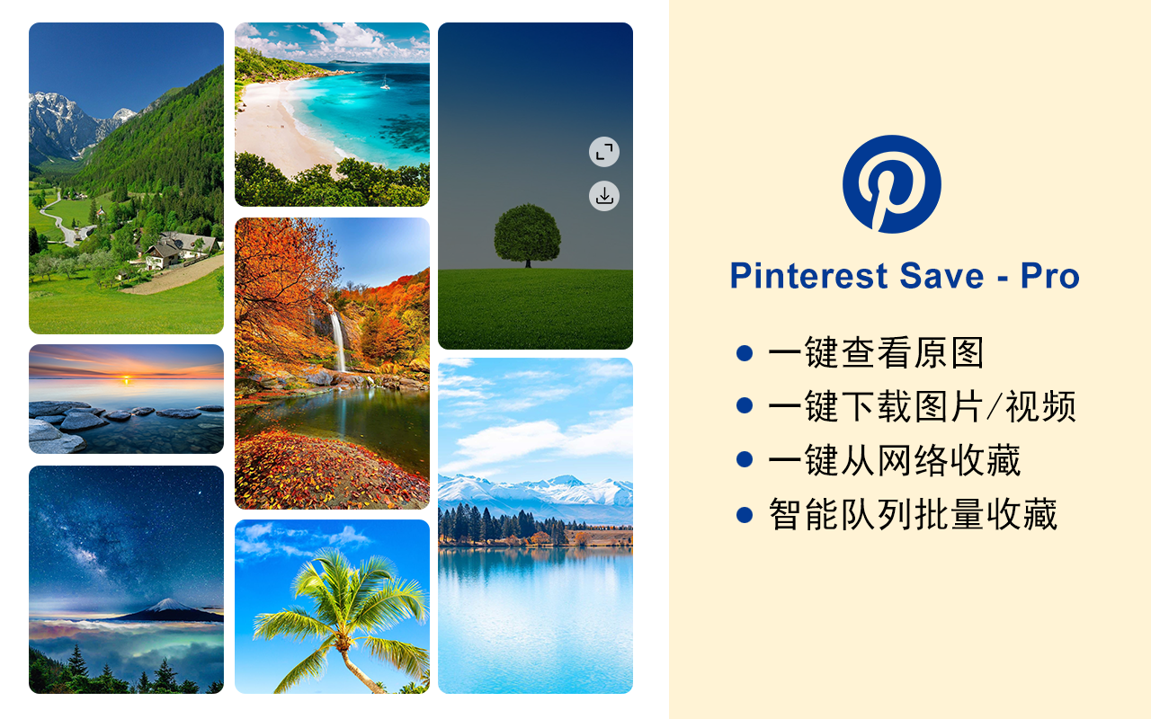 Pinterest Save - Pro截图3