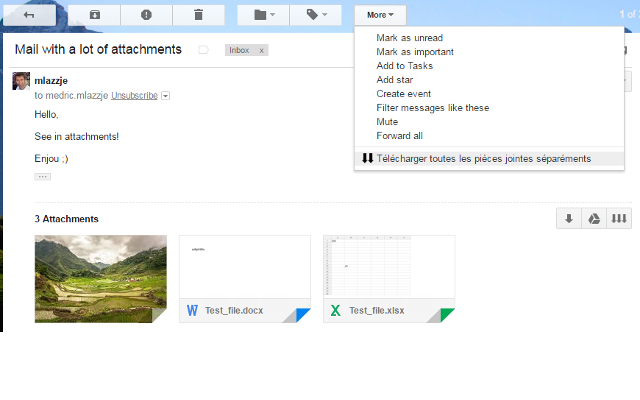 Better download all attachments for Gmail™截图1