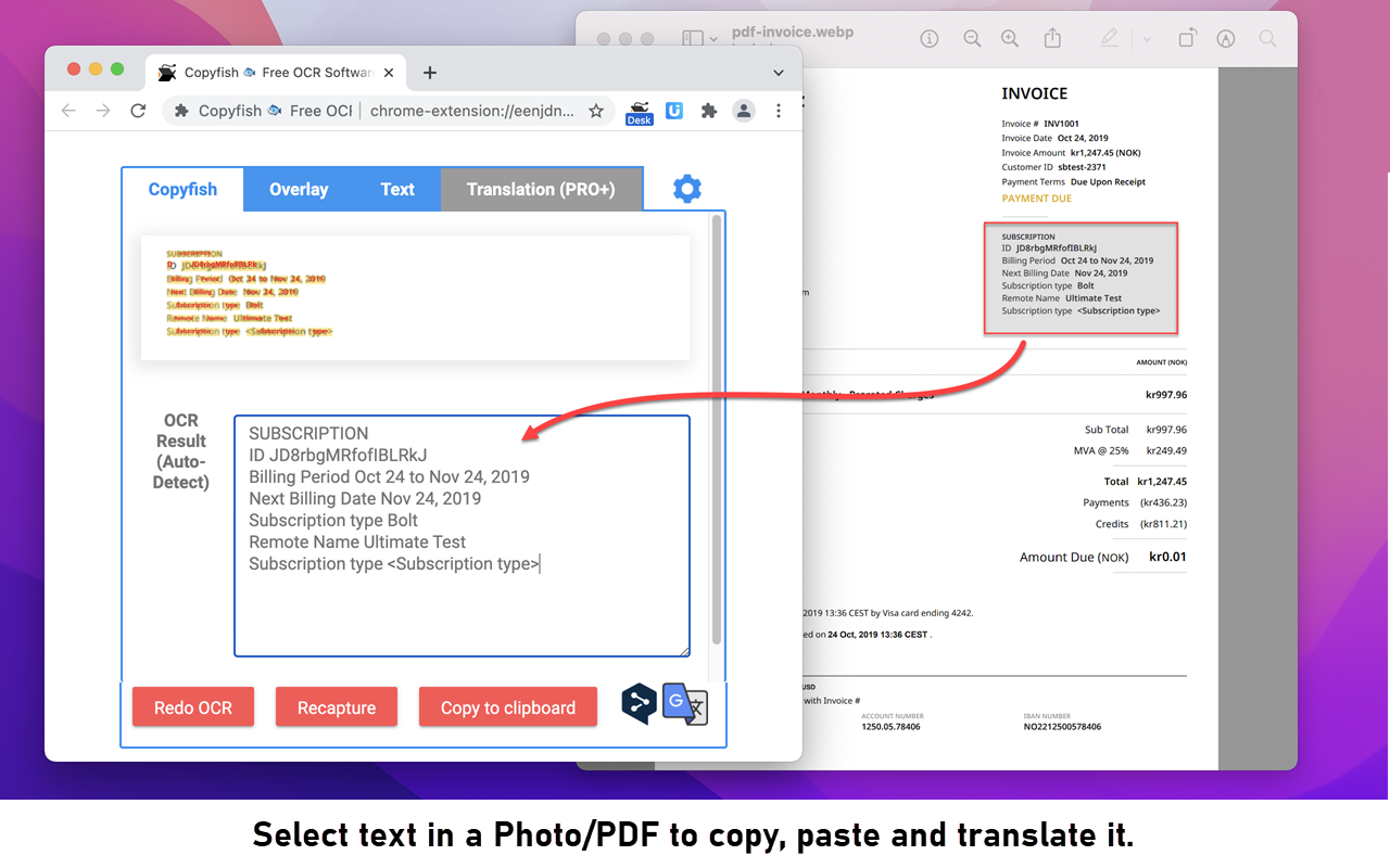 Copyfish 🐟 Free OCR Software截图2