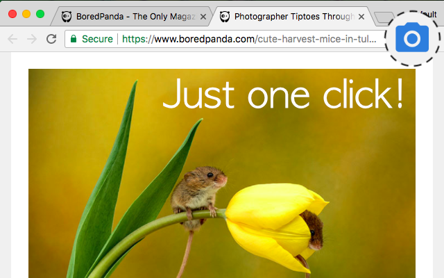 Simple screenshot截图1