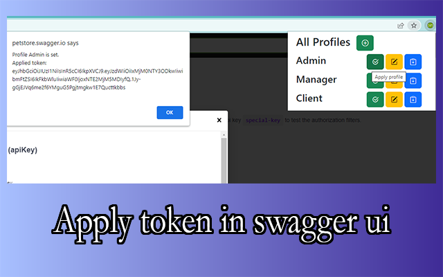 Swagger Token Manager截图3