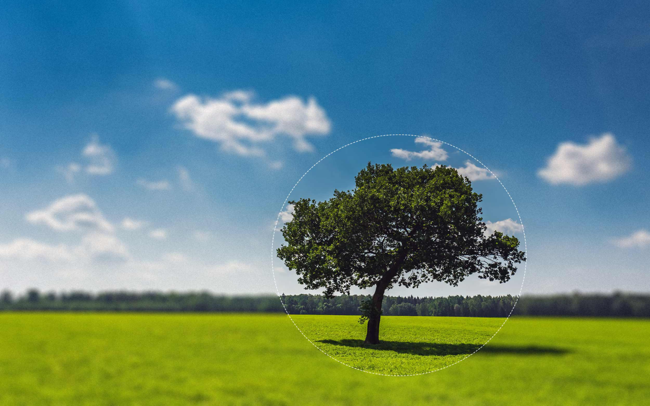 FotoFlexer - Online Photo Editor截图2