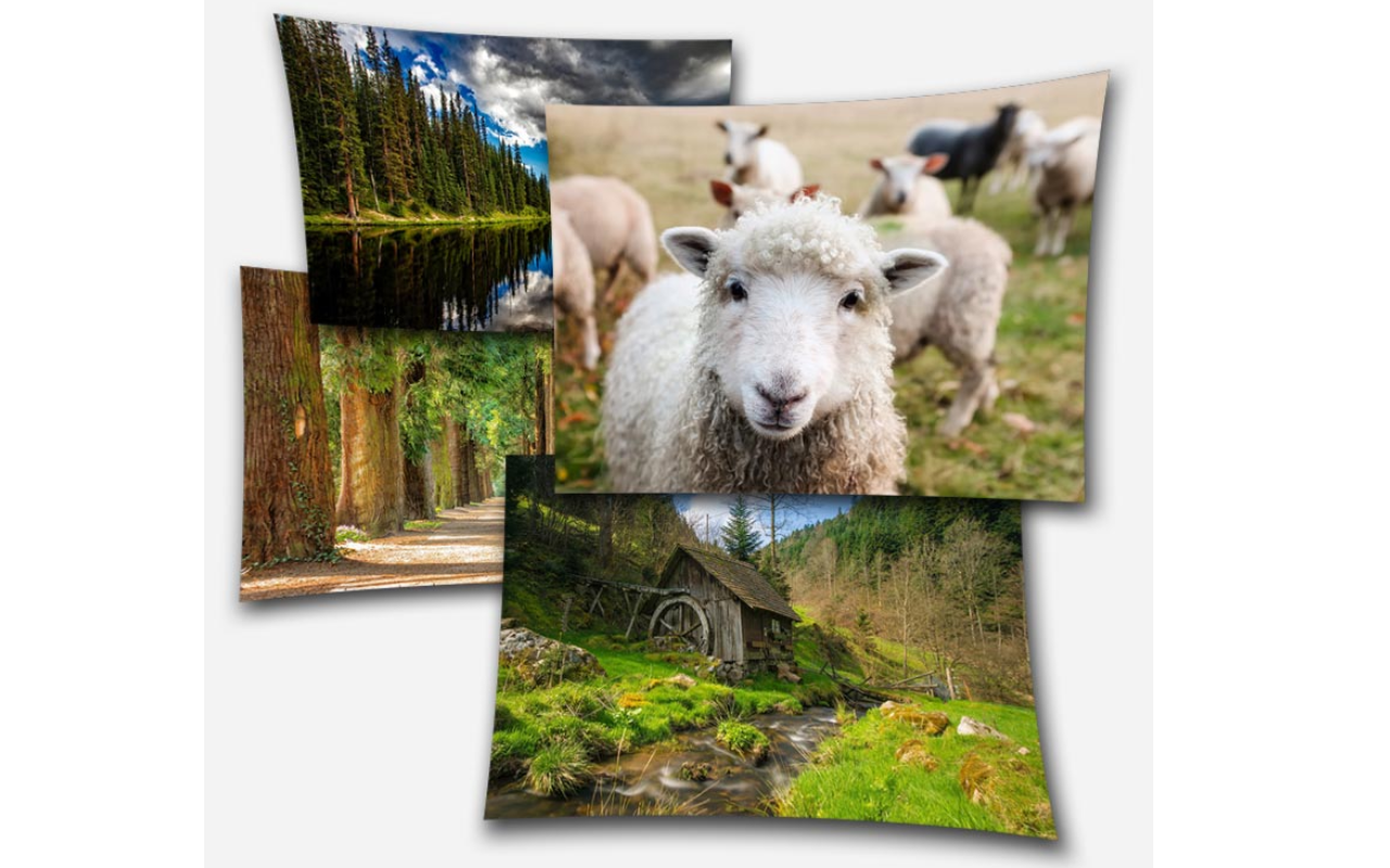 FotoFlexer - Online Photo Editor截图3