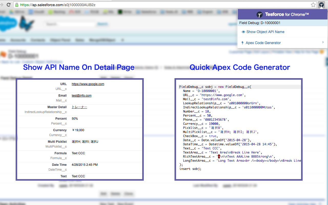 Salesforce DevTools截图4