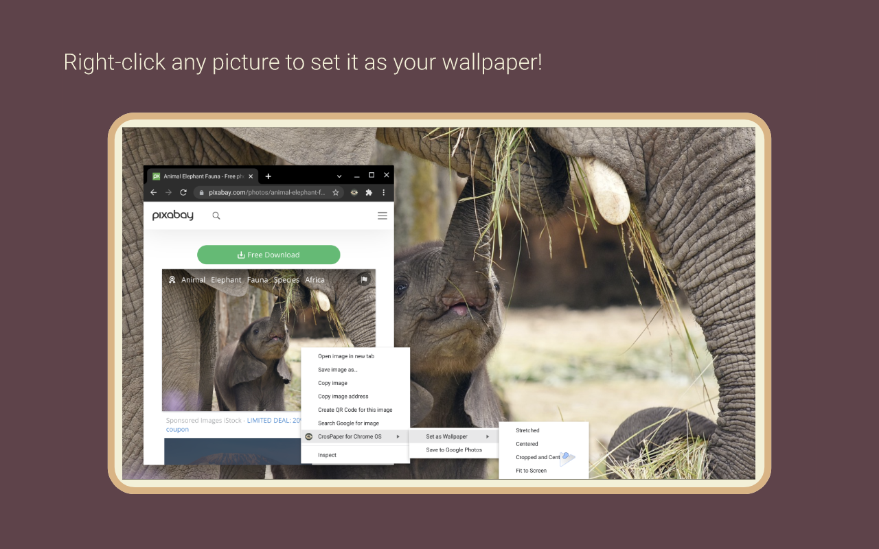 CrosPaper - The Wallpaper Engine for ChromeOS截图2