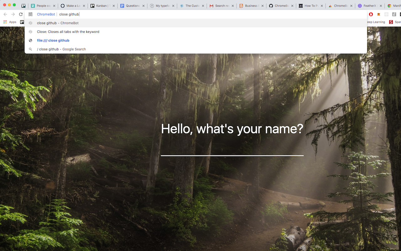 ChromeBot截图1