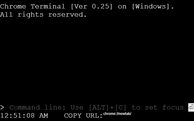 Chrome Terminal截图1