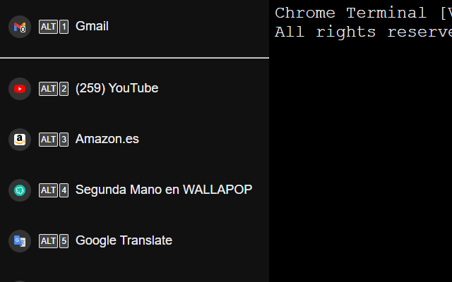 Chrome Terminal截图2