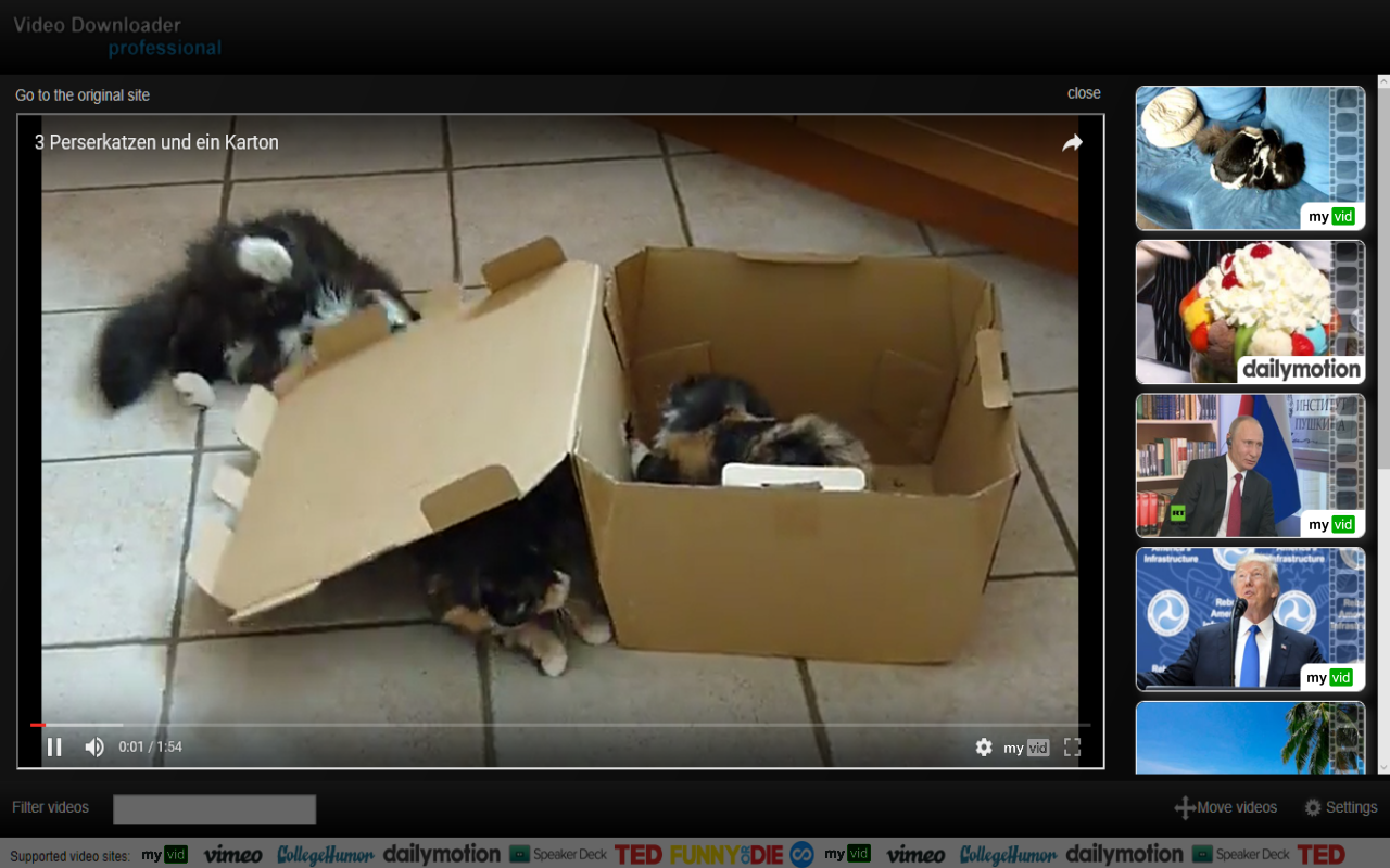 Video Downloader Professional截图2