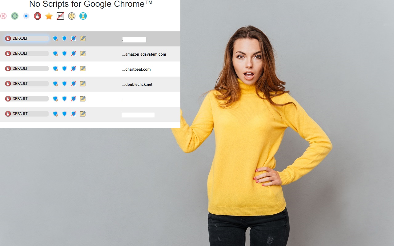No Scripts for Google Chrome™截图1