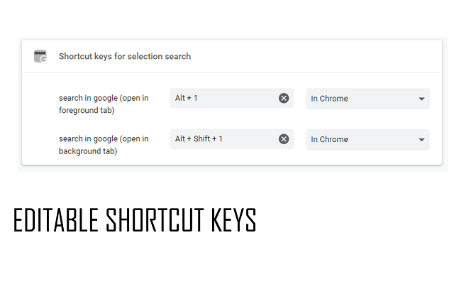 Shortcut keys for selection search截图3