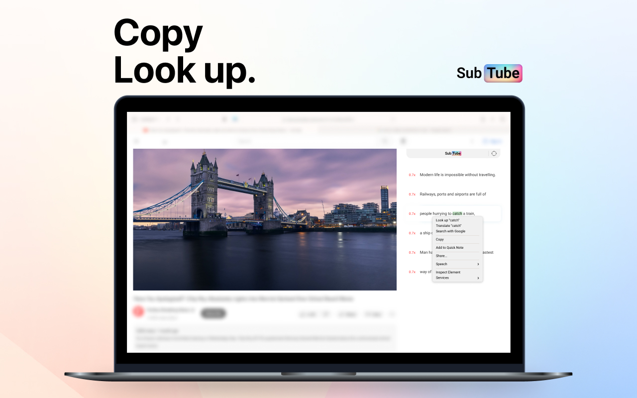 Subtube - Dual Subtitles for YouTube截图3