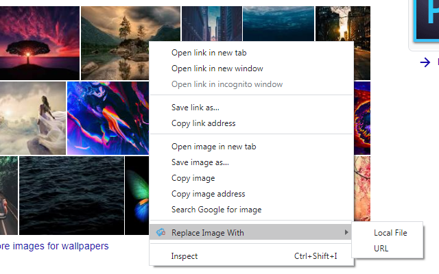 Replace Image Locally截图2